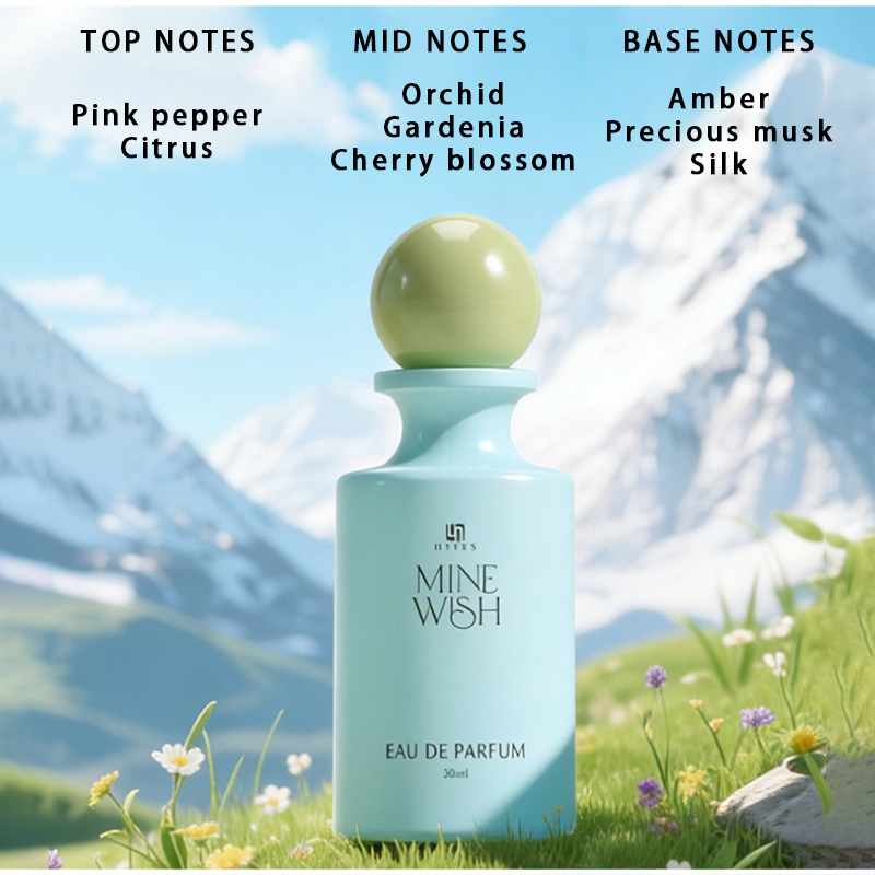 Perfume Brand Wish 30ml Fragrâ - Perfume Fragrance Brands avaliação e preço