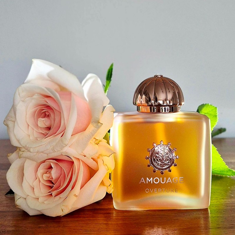 Perfume de Luxo AMOUAGE para M - Perfume Queen avaliação e preço